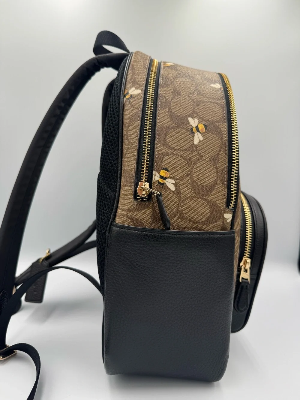 COACH Court Signature Canvas Backpack with Bee Print 🐝
